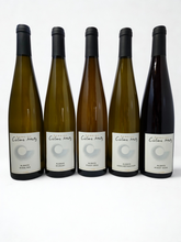 Charger l'image dans la galerie, Pinot Gris "Collection 1728" 2024 - BIO