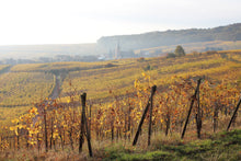 Charger l'image dans la galerie, Coffret "Fabuleux Grands Crus " 3 bouteilles